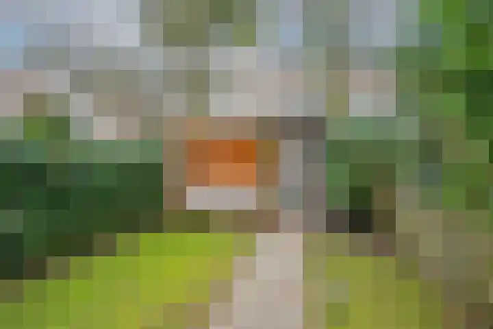 Boerhaavelaan 20 Eindhoven thumbnail 64