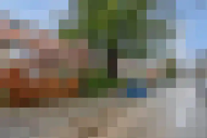 Boerhaavelaan 20 Eindhoven thumbnail 65