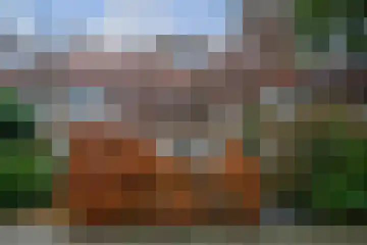 Boerhaavelaan 20 Eindhoven thumbnail 67