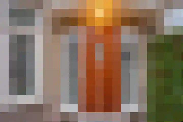 Boerhaavelaan 20 Eindhoven thumbnail 70