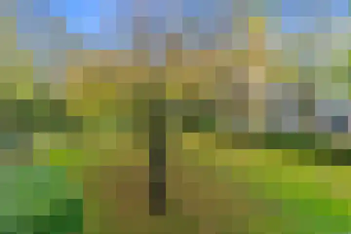 Boerhaavelaan 211 Leiden thumbnail 22