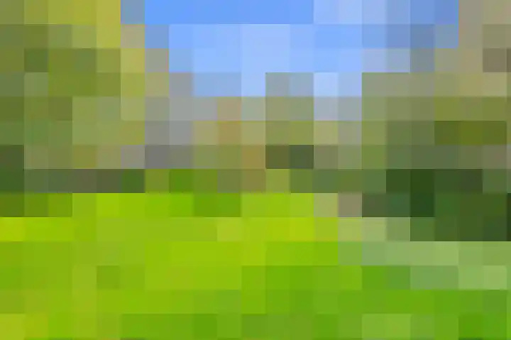 Boerhaavelaan 211 Leiden thumbnail 4
