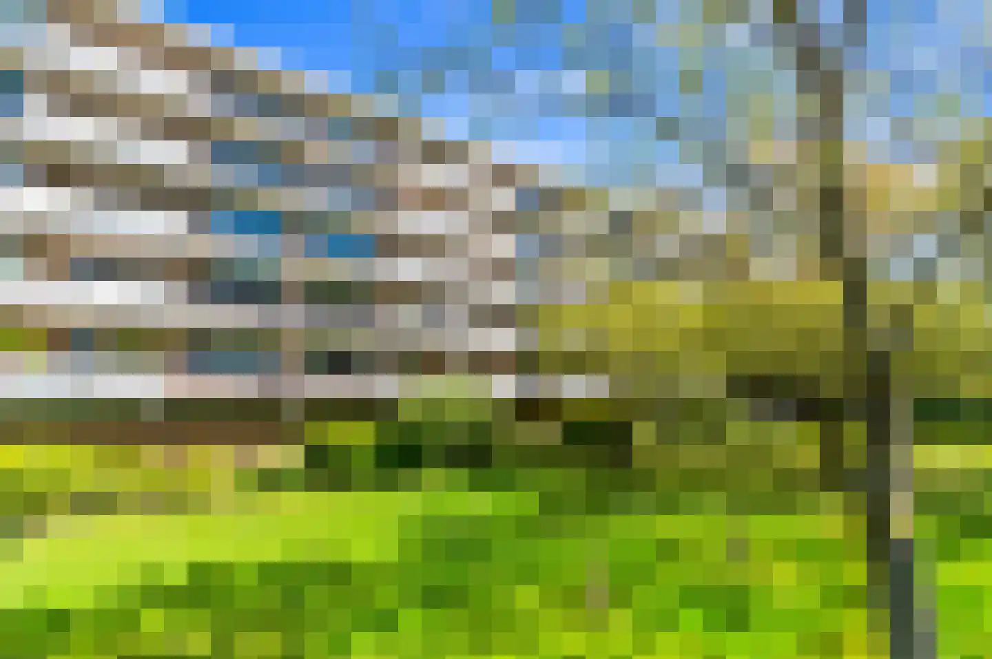Boerhaavelaan 223 Leiden