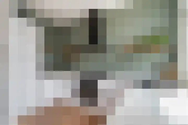 Boerhaavelaan 23 Bussum thumbnail 15