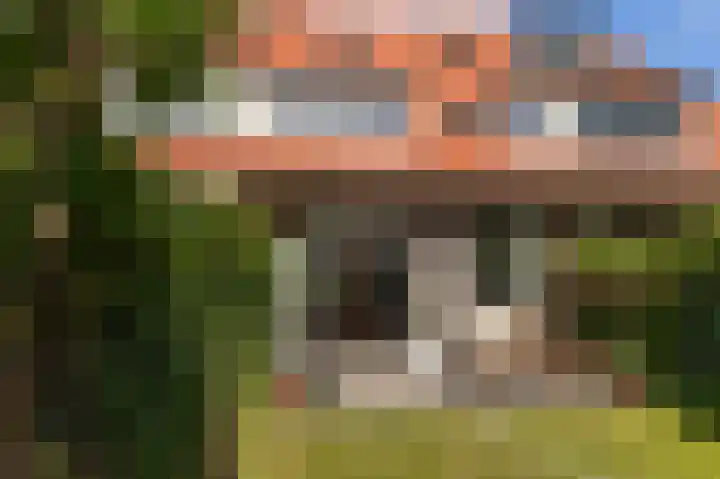 Boerhaavelaan 23 Bussum thumbnail 27