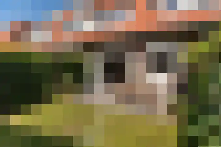 Boerhaavelaan 23 Bussum thumbnail 28