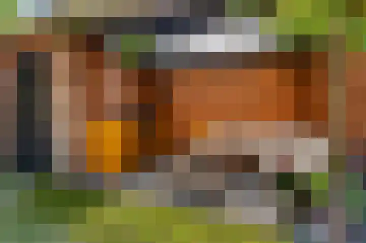 Boerhaavelaan 23 Bussum thumbnail 31