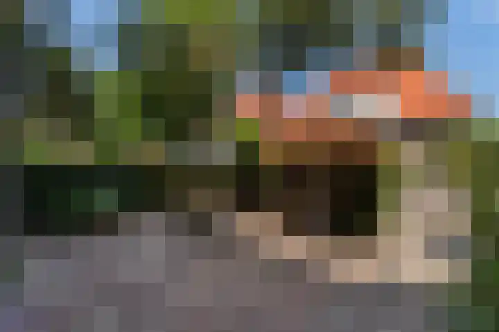 Boerhaavelaan 23 Bussum thumbnail 5