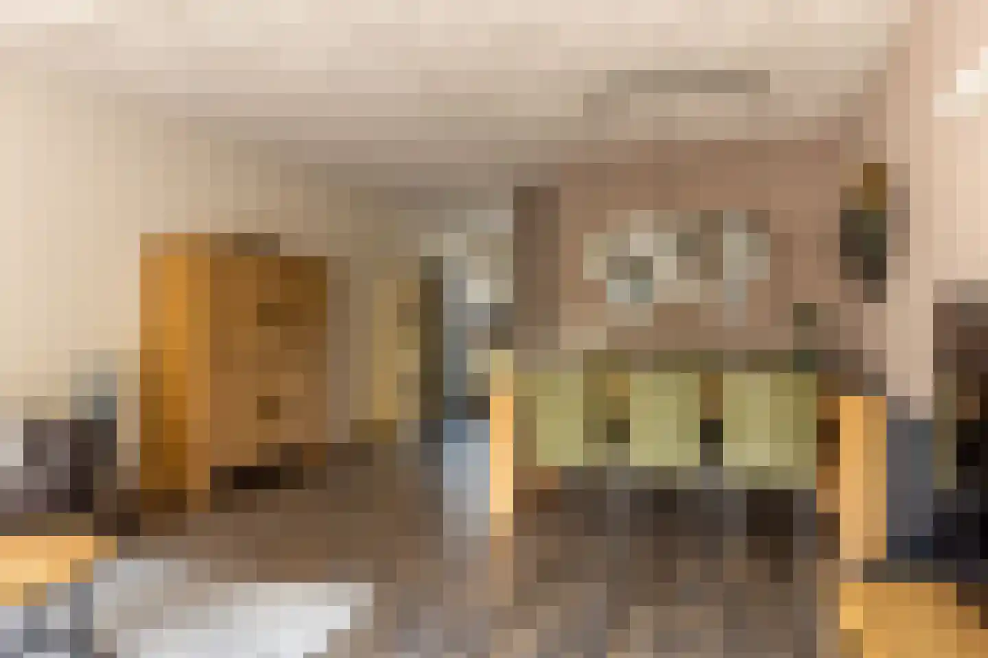 Boerhaavelaan 24 Schoonhoven thumbnail 15