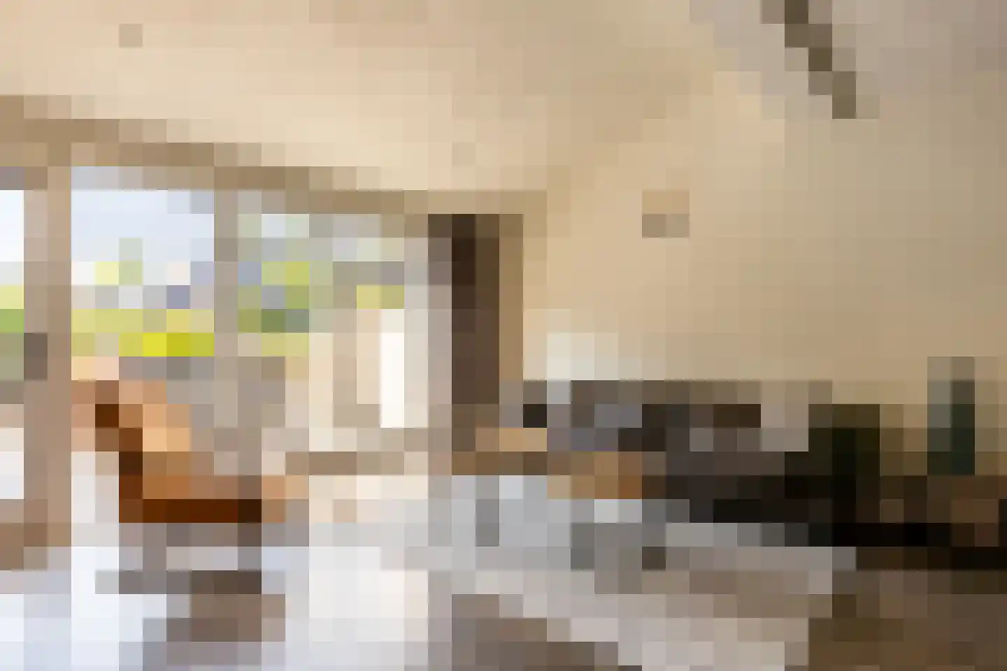 Boerhaavelaan 24 Schoonhoven thumbnail 16