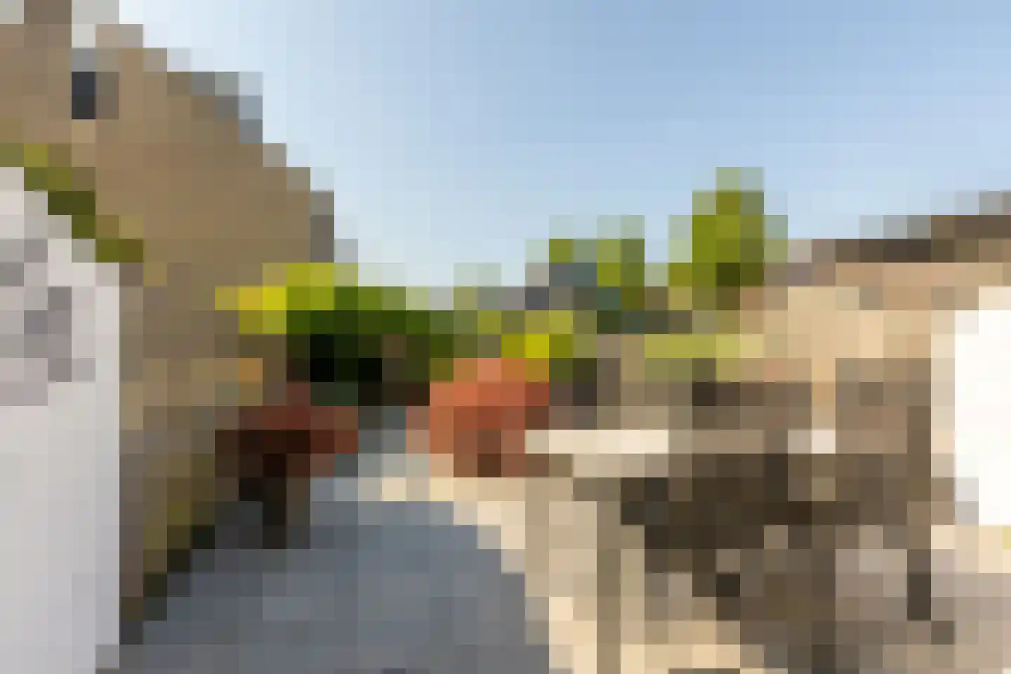 Boerhaavelaan 24 Schoonhoven thumbnail 30