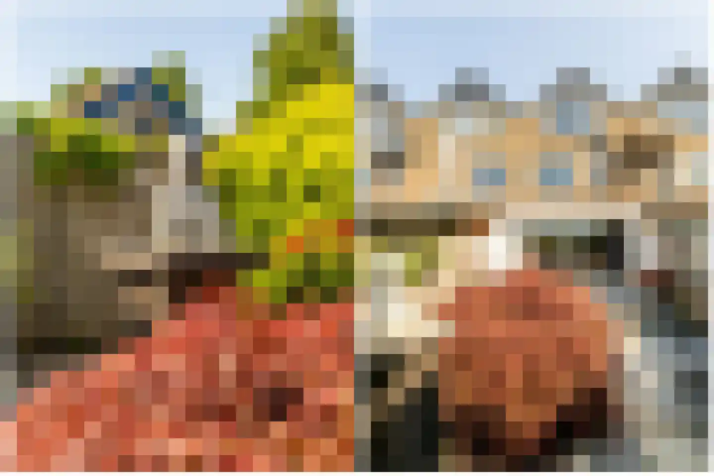 Boerhaavelaan 24 Schoonhoven thumbnail 36