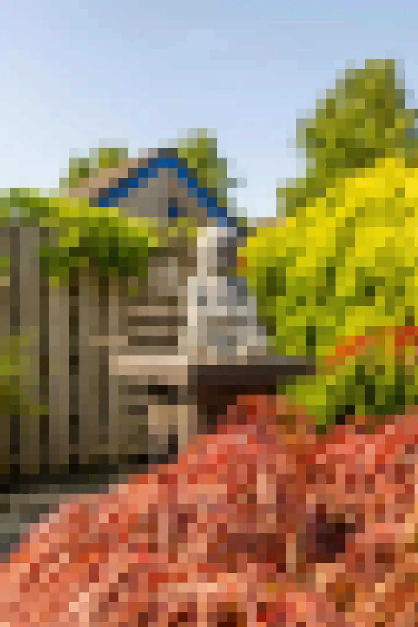 Boerhaavelaan 24 Schoonhoven thumbnail 53