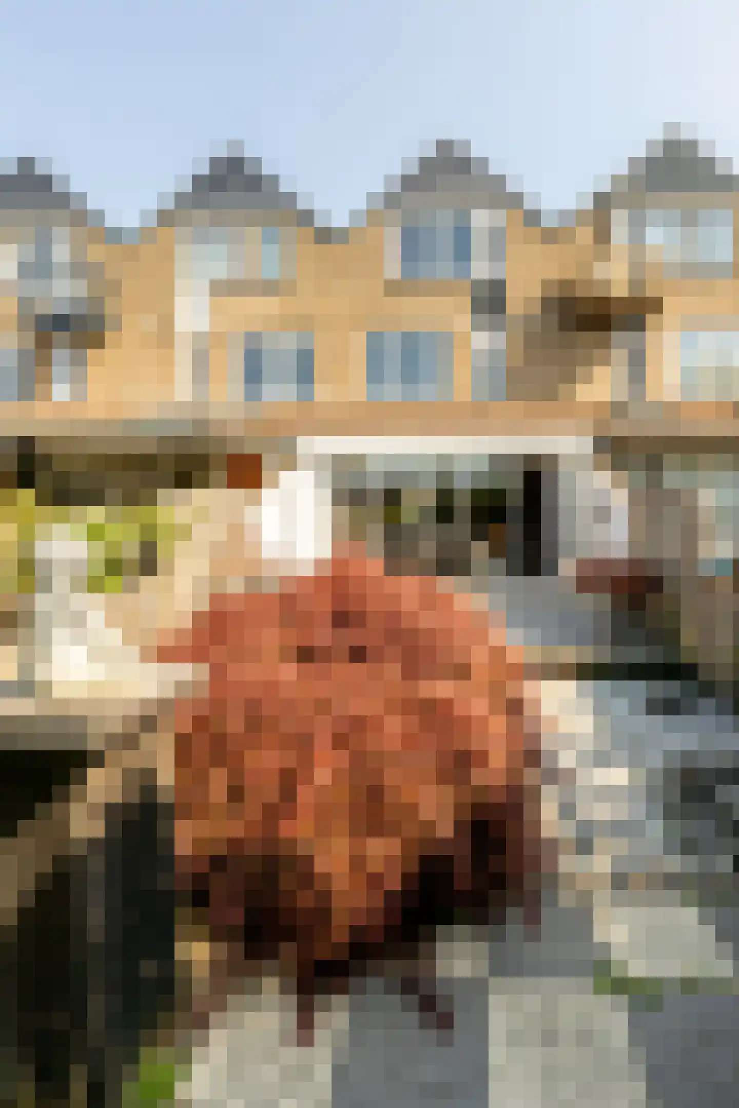 Boerhaavelaan 24 Schoonhoven thumbnail 54