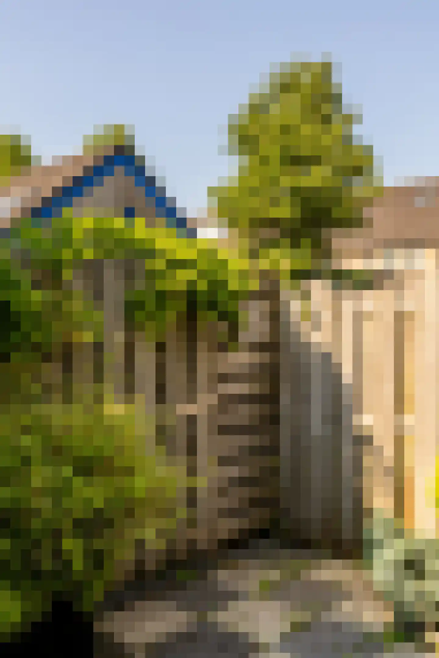Boerhaavelaan 24 Schoonhoven thumbnail 56