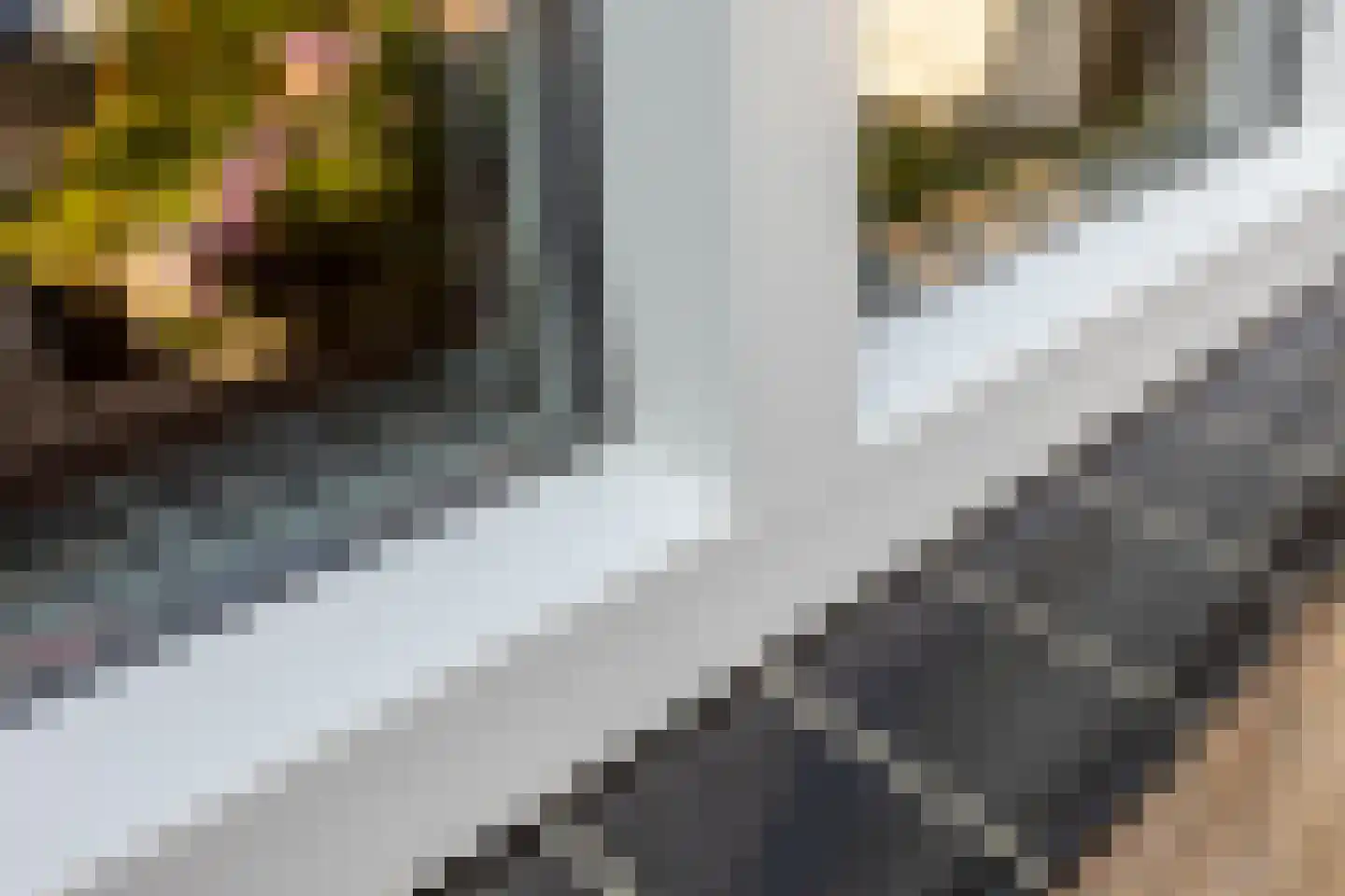 Boerhaavelaan 24 Schoonhoven thumbnail 57