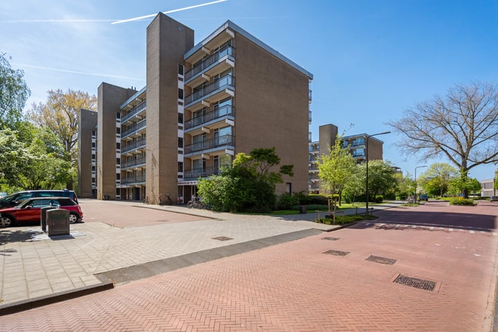 Boerhaavelaan 251 in Leiden Foto