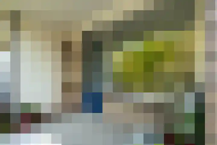 Boerhaavelaan 251 Leiden thumbnail 23