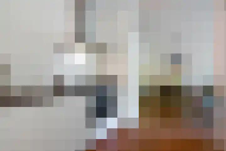 Boerhaavelaan 251 Leiden thumbnail 4