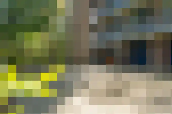 Boerhaavelaan 251 Leiden thumbnail 7