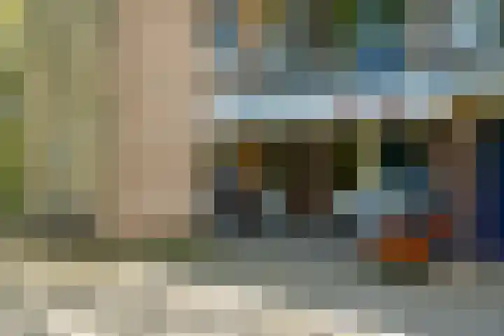 Boerhaavelaan 251 Leiden thumbnail 8