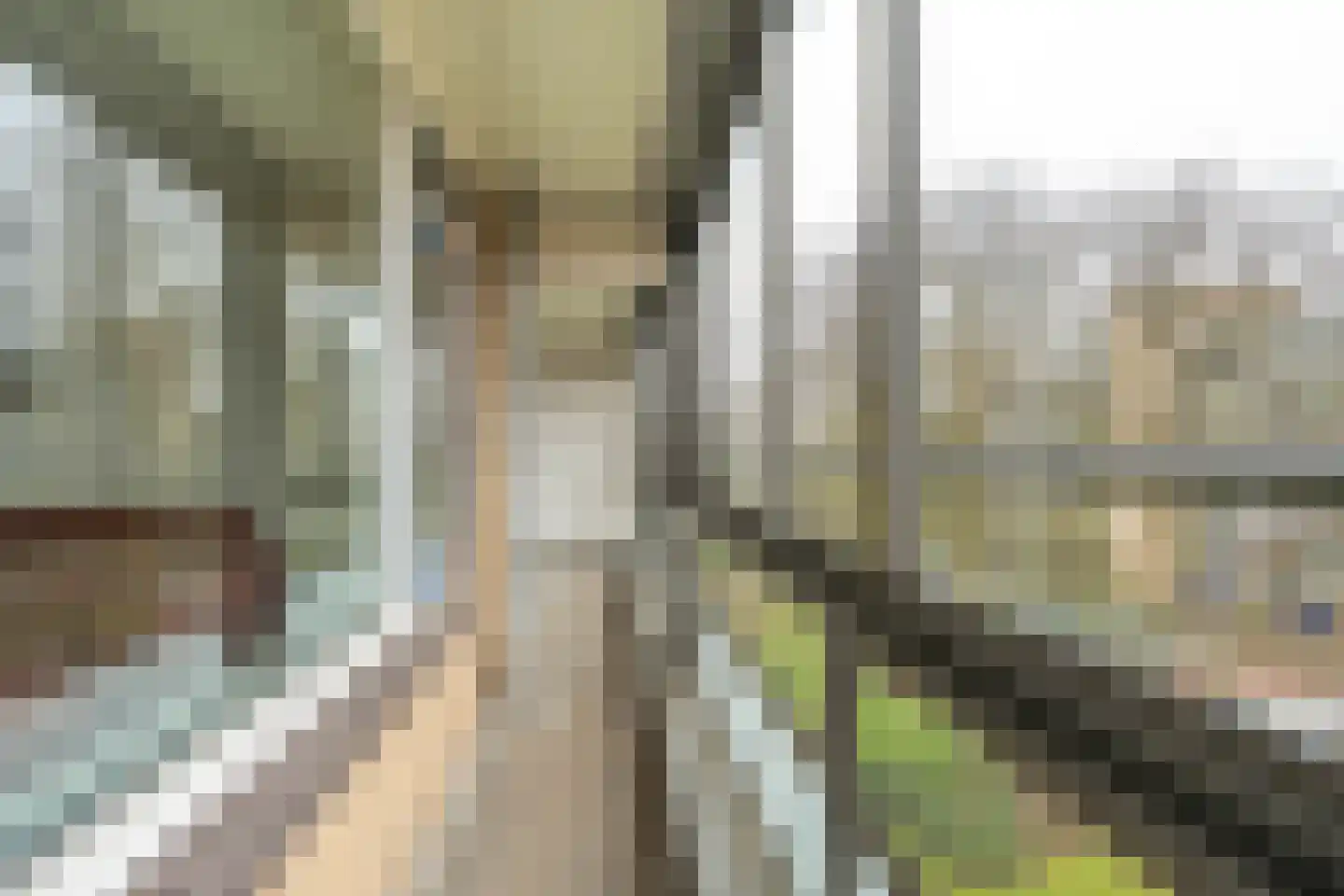Boerhaavelaan 281 Leiden thumbnail 21