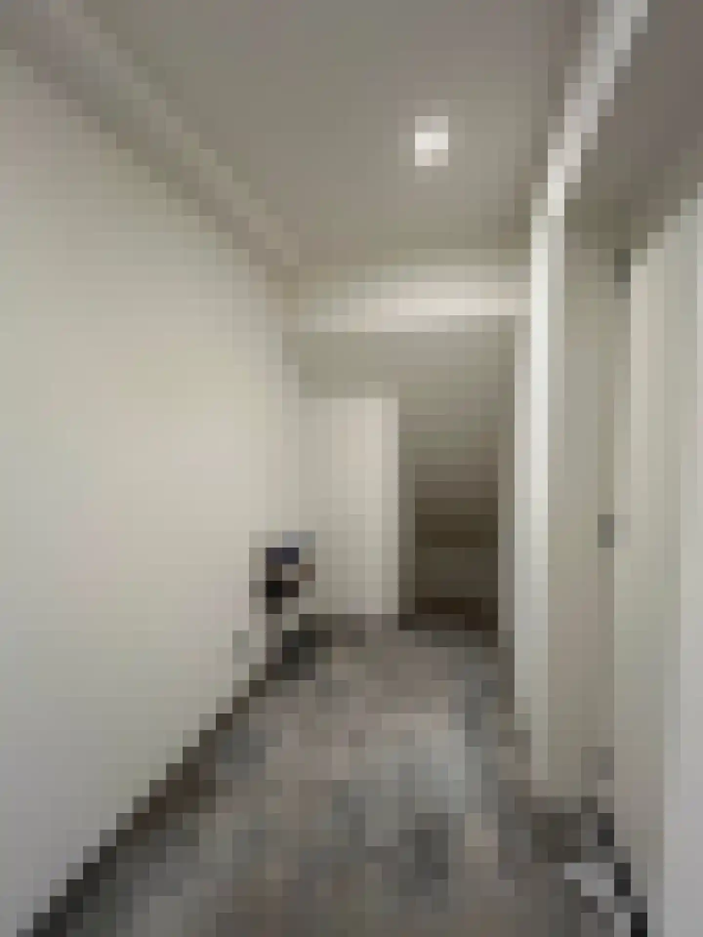 Boerhaavelaan 3 Roosendaal thumbnail 18