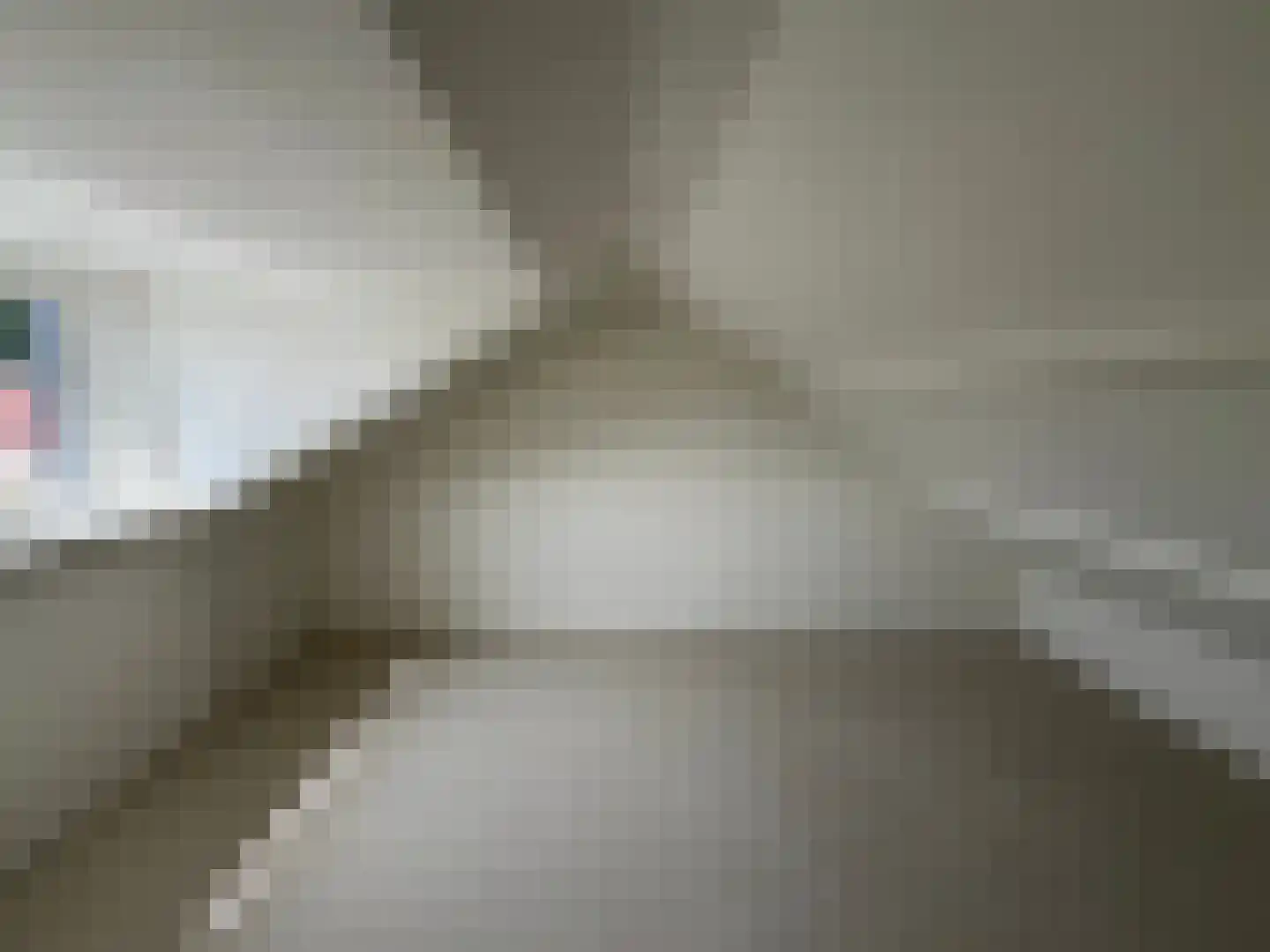 Boerhaavelaan 3 Roosendaal thumbnail 36