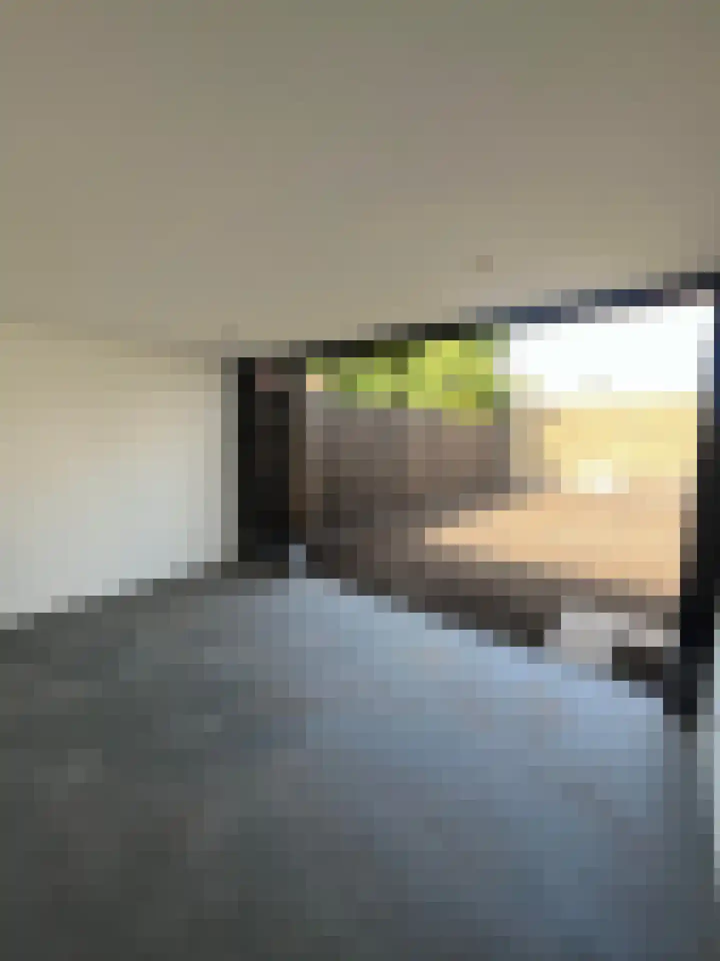 Boerhaavelaan 3 Roosendaal thumbnail 46