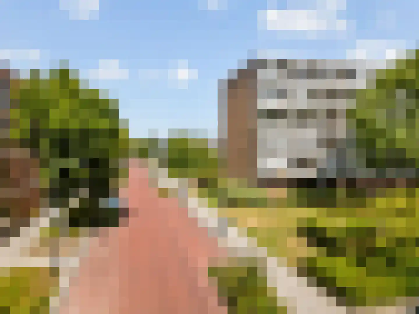 Boerhaavelaan 313 Leiden thumbnail 42
