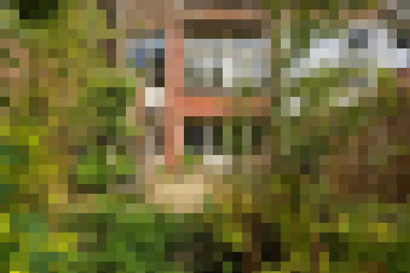 Boerhaavelaan 32 B Schiedam thumbnail 21