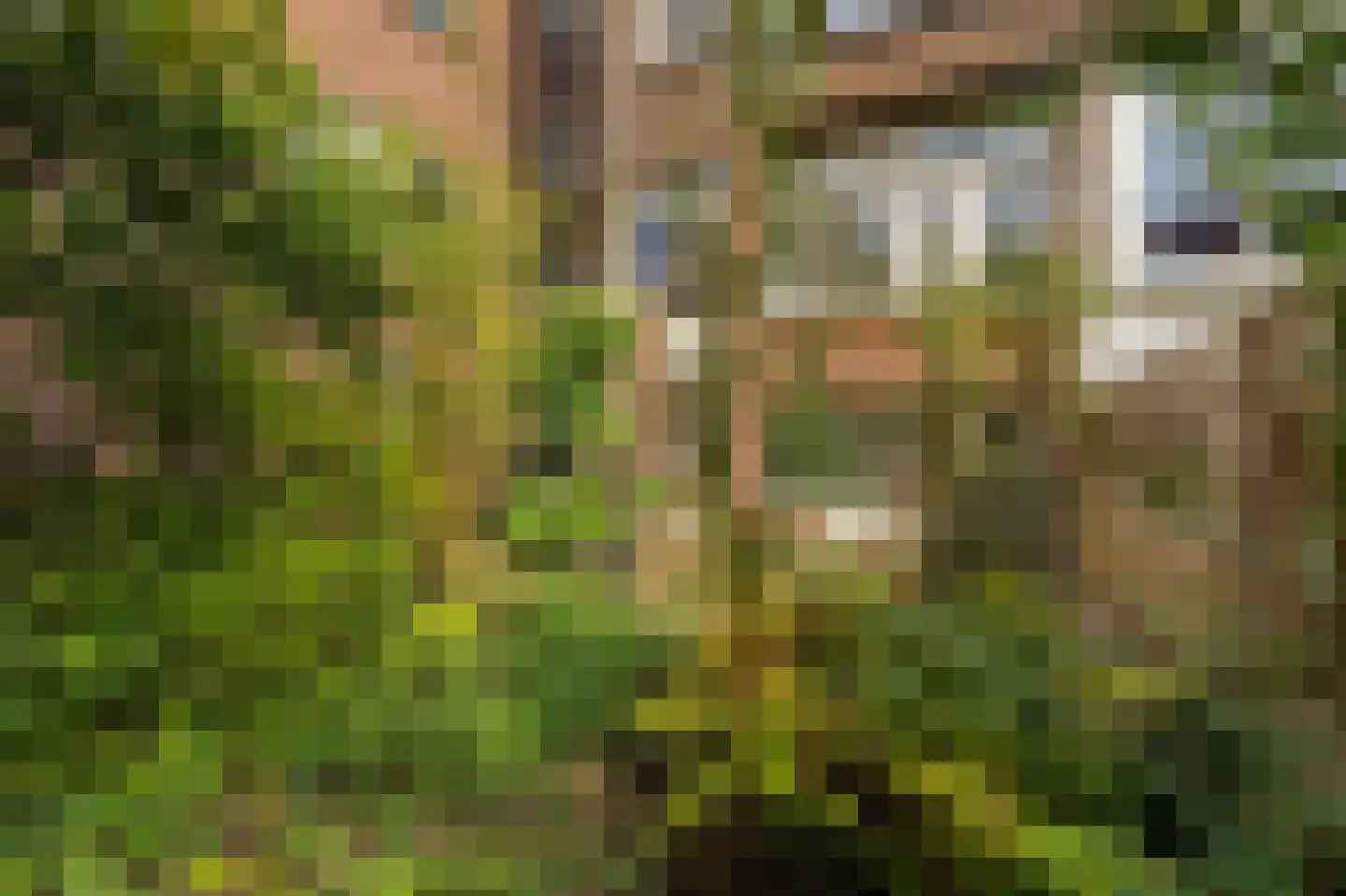 Boerhaavelaan 32 B Schiedam thumbnail 22
