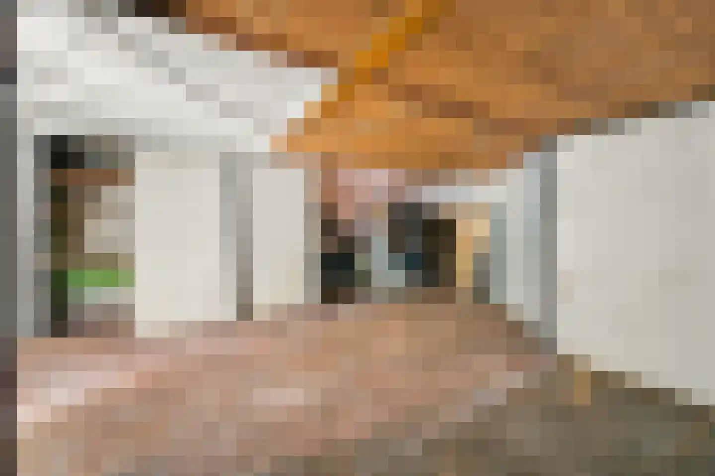 Boerhaavelaan 32 B Schiedam thumbnail 32