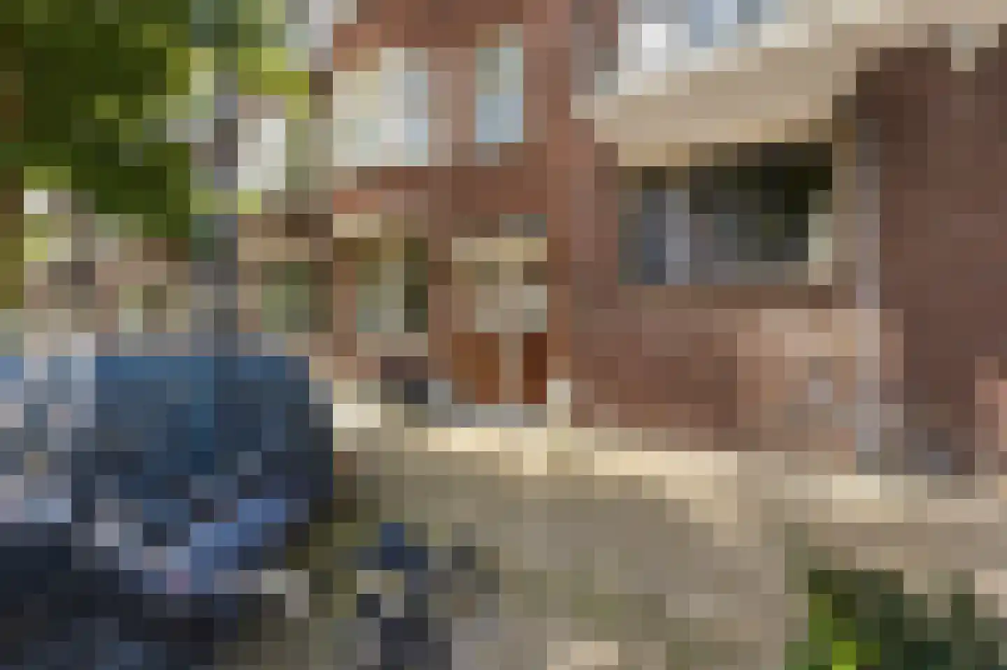 Boerhaavelaan 32 B Schiedam thumbnail 40