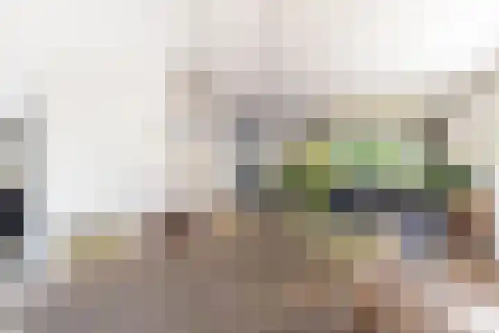 Boerhaavelaan 36 Almelo thumbnail 12