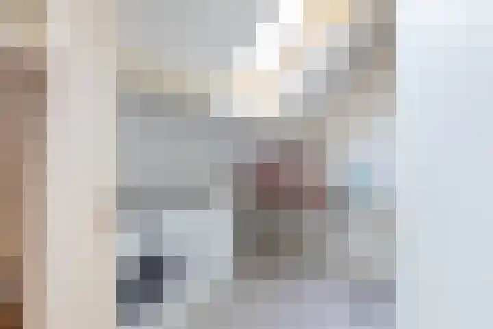 Boerhaavelaan 36 Almelo thumbnail 28