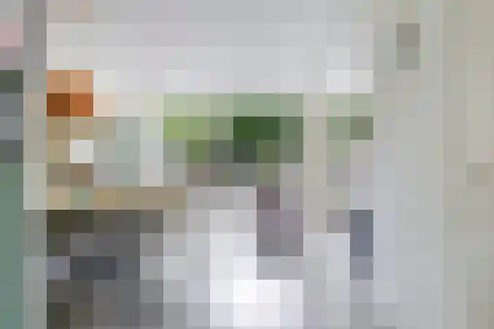 Boerhaavelaan 36 Doetinchem thumbnail 11