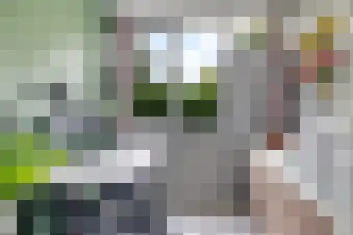 Boerhaavelaan 36 Doetinchem thumbnail 35