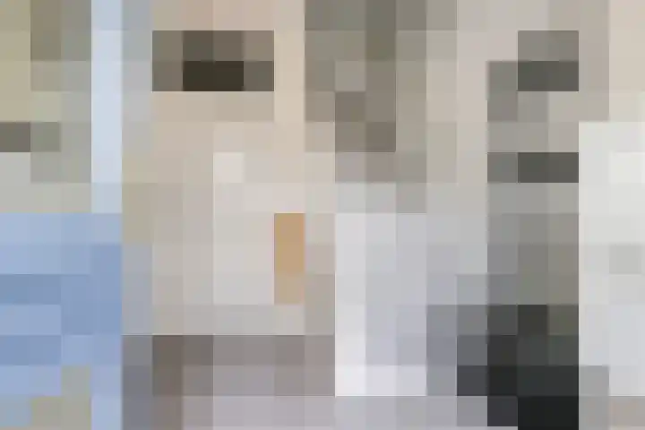 Boerhaavelaan 36 Doetinchem thumbnail 8