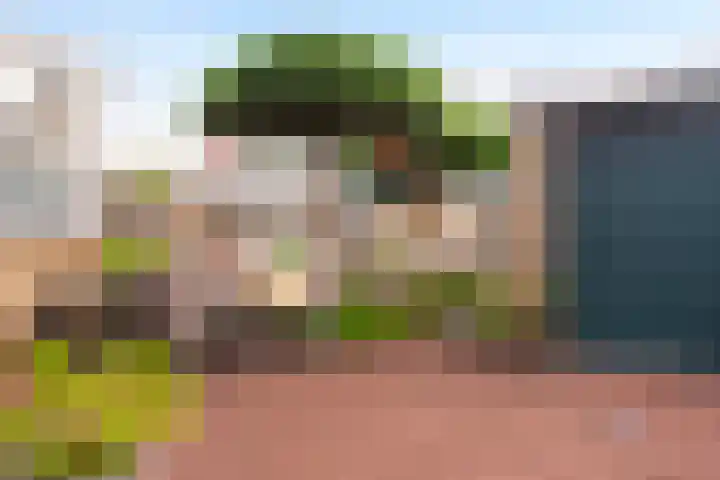 Boerhaavelaan 38 Eerbeek thumbnail 34