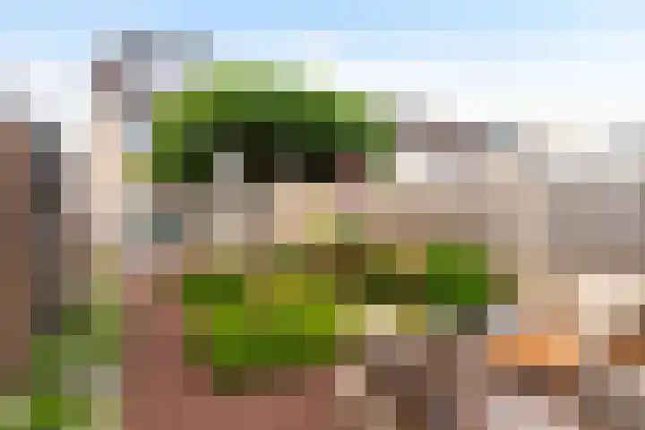 Boerhaavelaan 38 Eerbeek thumbnail 5
