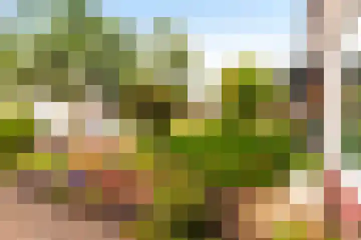 Boerhaavelaan 38 Eerbeek thumbnail 9