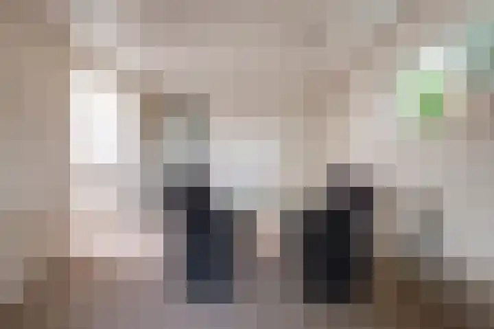 Boerhaavelaan 38 Tiel thumbnail 10