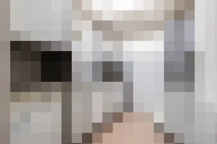 Boerhaavelaan 38 Tiel thumbnail 11