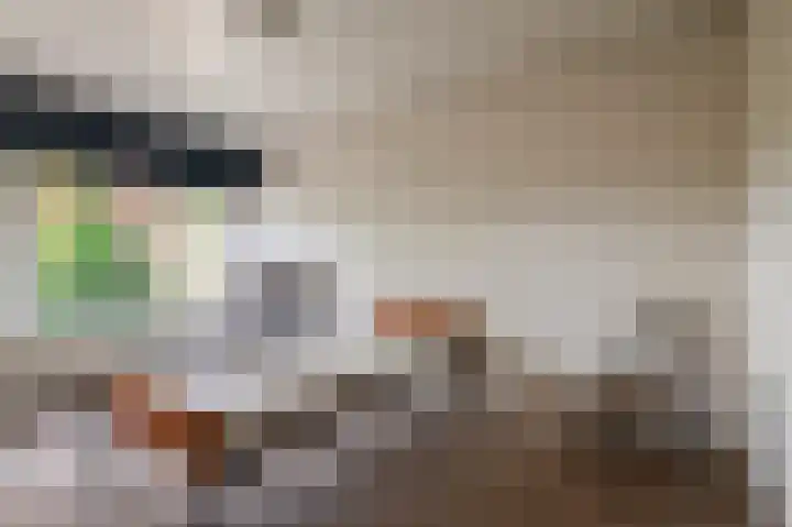 Boerhaavelaan 38 Tiel thumbnail 12