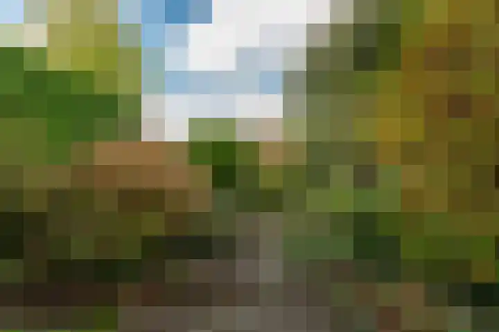 Boerhaavelaan 38 Tiel thumbnail 17