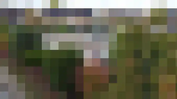 Boerhaavelaan 38 Tiel thumbnail 20