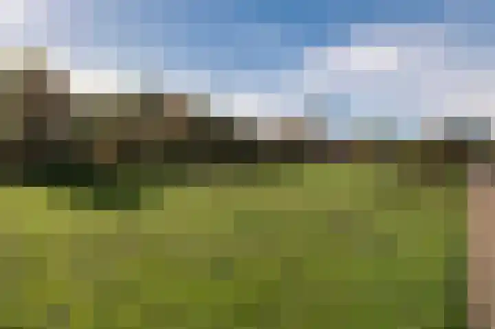 Boerhaavelaan 38 Tiel thumbnail 23