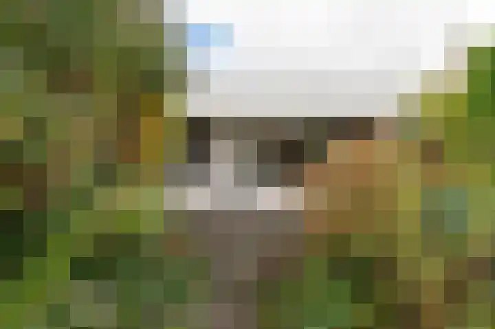 Boerhaavelaan 38 Tiel thumbnail 5