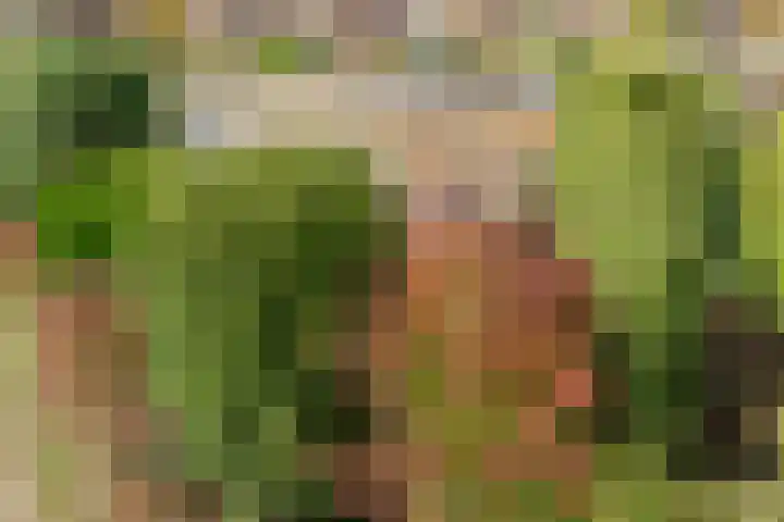 Boerhaavelaan 38 Tiel thumbnail 6